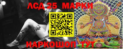 гидропоника Славгород