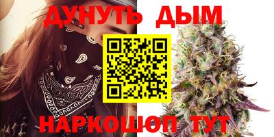 дмт Сланцы