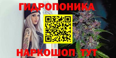 марки lsd Северобайкальск