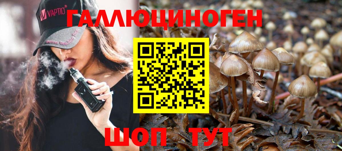 Псилоцибиновые грибы прущие грибы Родники
